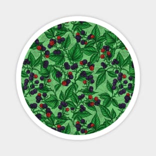 Blackberries on green Magnet
